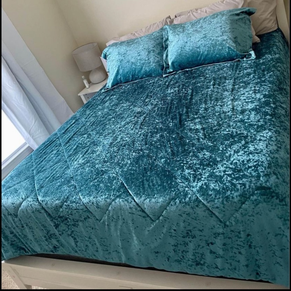 Comforter - Picture 1 of 1